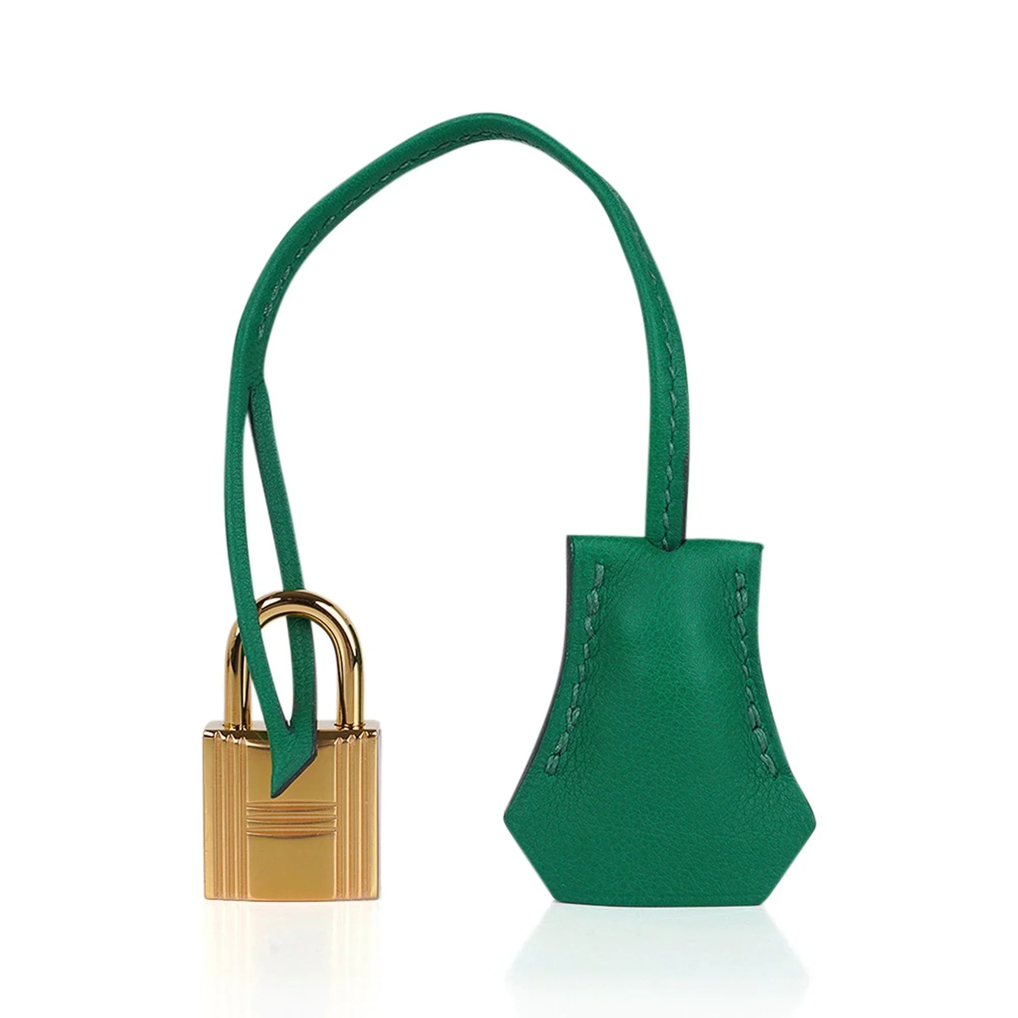 Birkin 25 Bag in Cactus Swift Leather with Gold Hardware