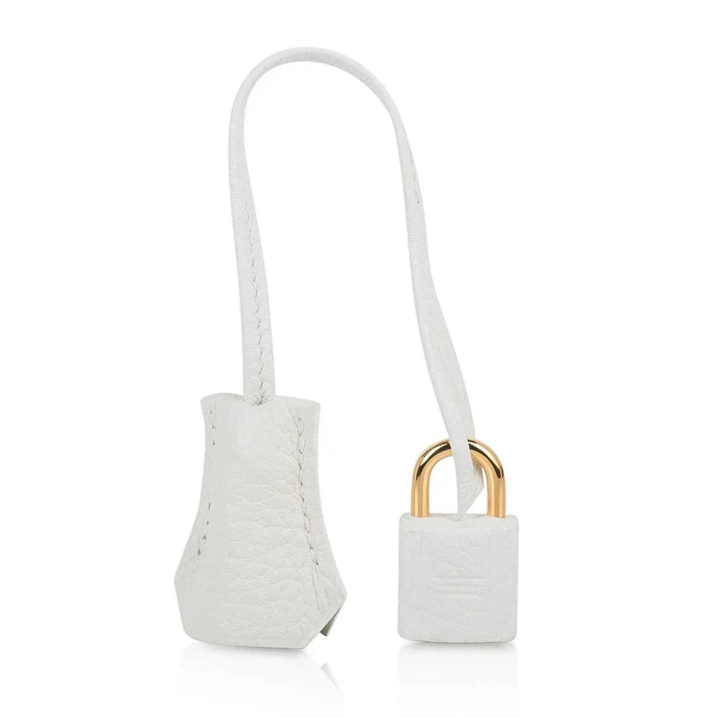 Birkin 25 HSS Bag White Clemence Gold Hardware