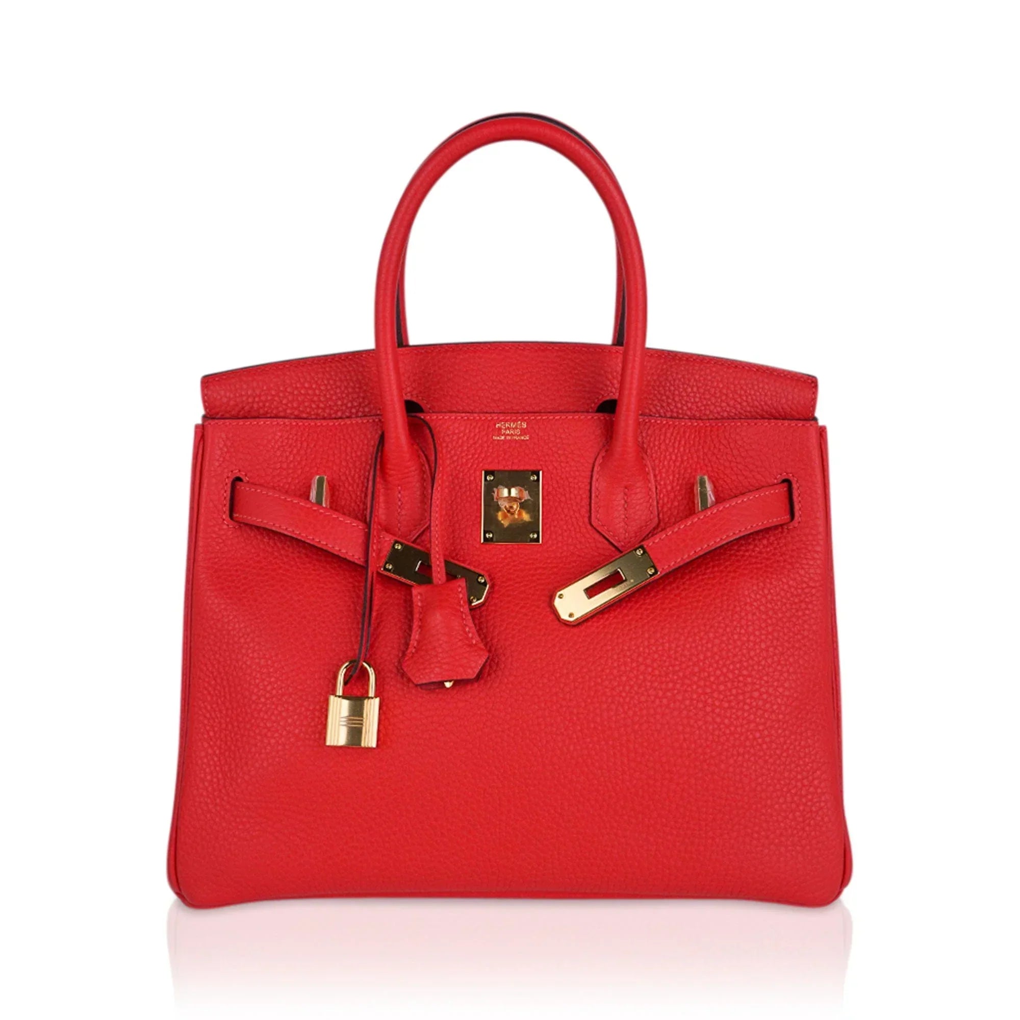 Birkin 30 Capucine Bag Togo Leather Gold Hardware