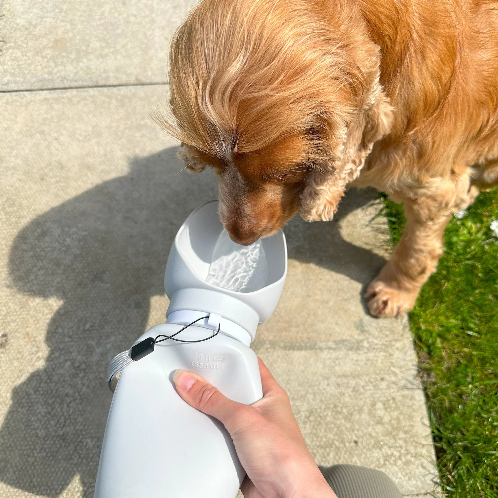 Portable Dog Travel Water Bottle & Bowl: 550ml Silicone