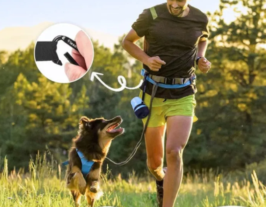 Portable Pet Water Bottle For Dogs